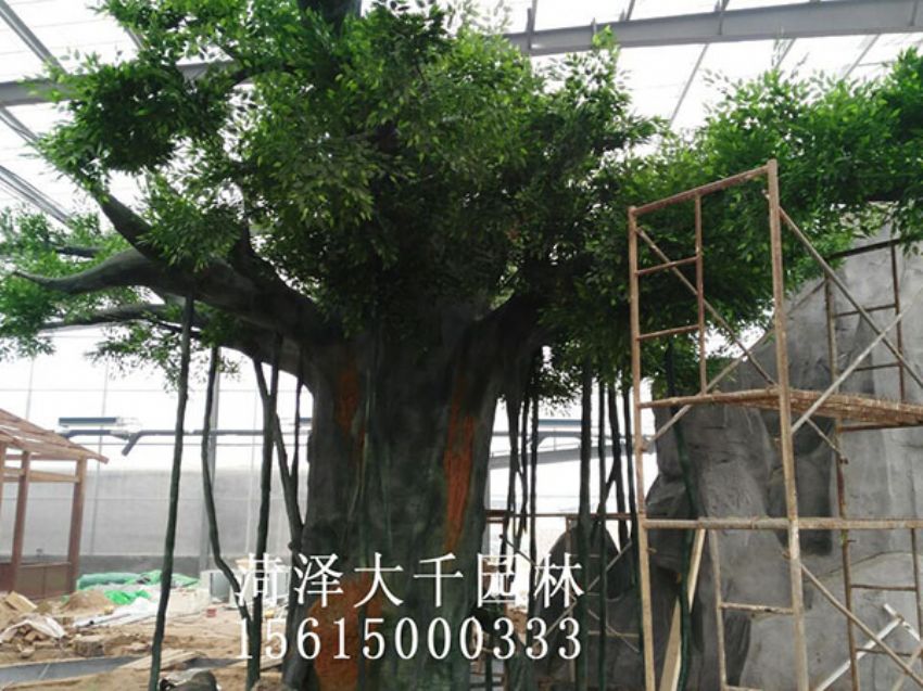 點(diǎn)擊查看詳細(xì)信息<br>標(biāo)題：假樹(shù) 閱讀次數(shù)：1208