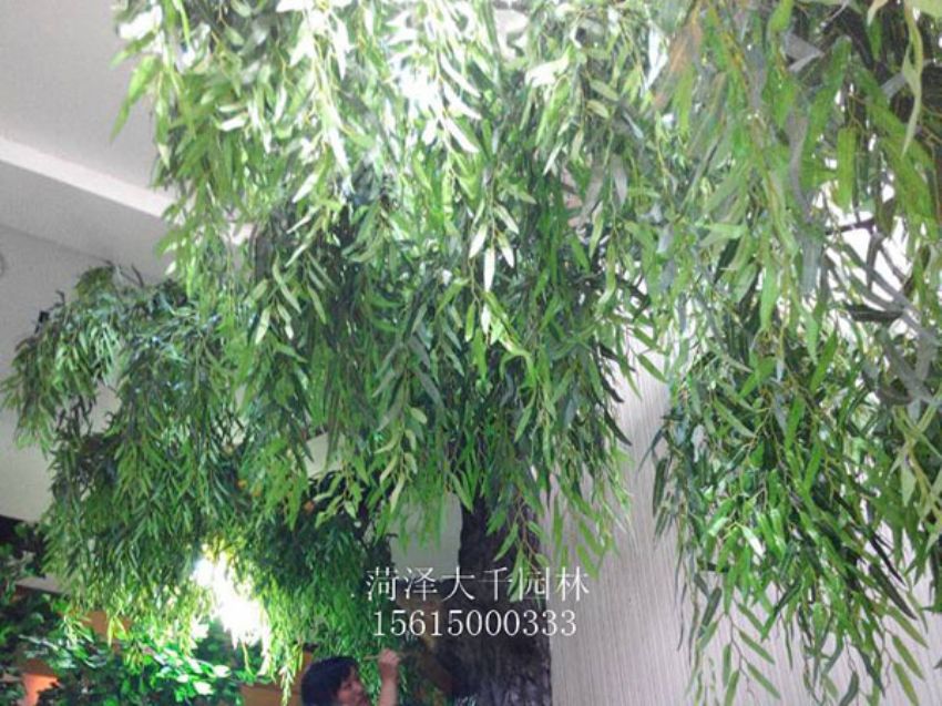 點擊查看詳細信息<br>標(biāo)題：假樹 閱讀次數(shù)：1263
