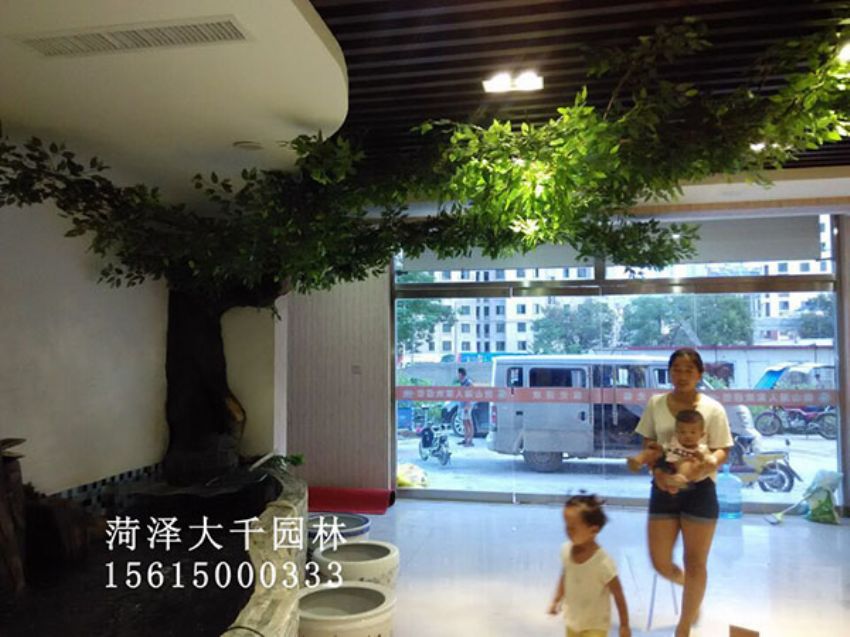 點擊查看詳細信息<br>標(biāo)題：假樹 閱讀次數(shù)：1283