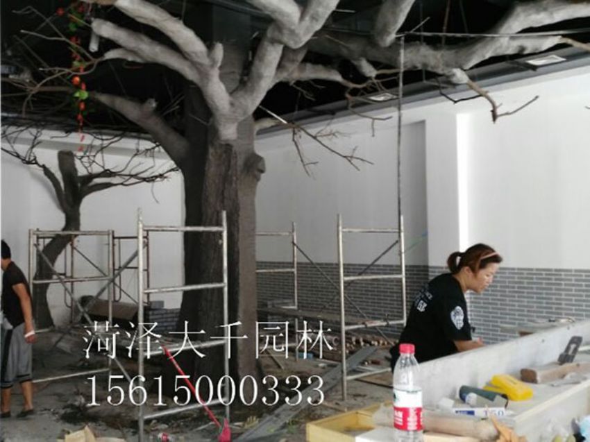 點(diǎn)擊查看詳細(xì)信息<br>標(biāo)題：假樹(shù) 閱讀次數(shù)：1263