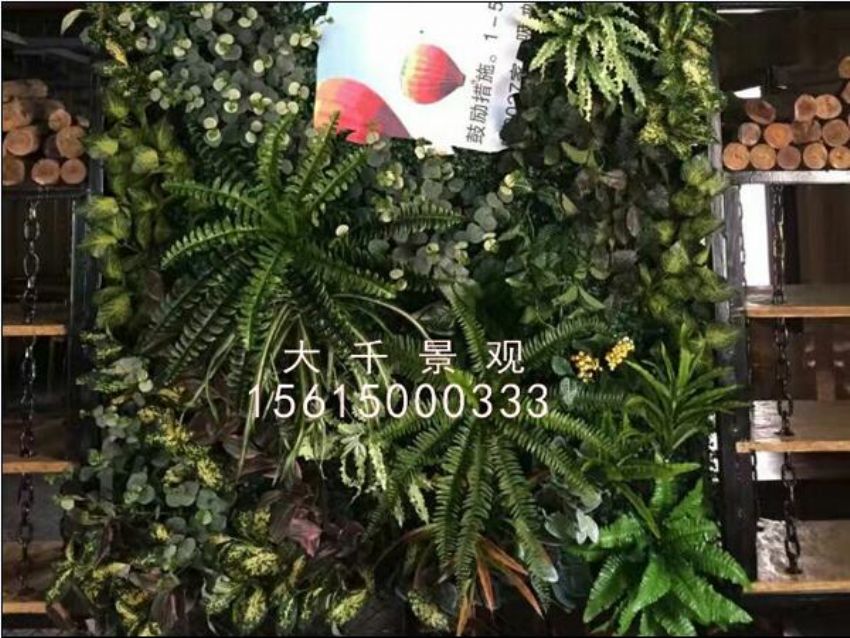 點(diǎn)擊查看詳細(xì)信息<br>標(biāo)題：綠植墻 閱讀次數(shù)：1261