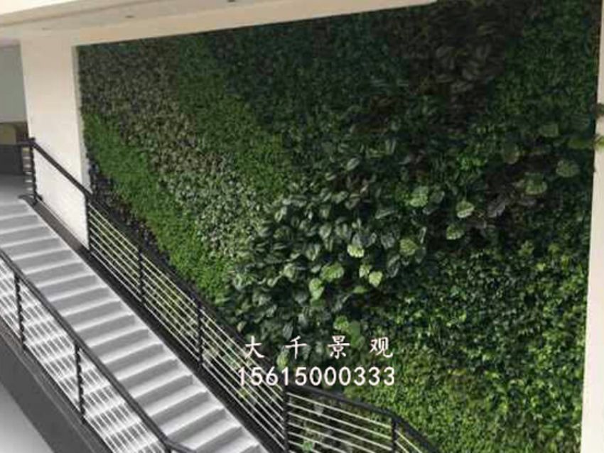 點擊查看詳細信息<br>標題：綠植墻 閱讀次數：1473