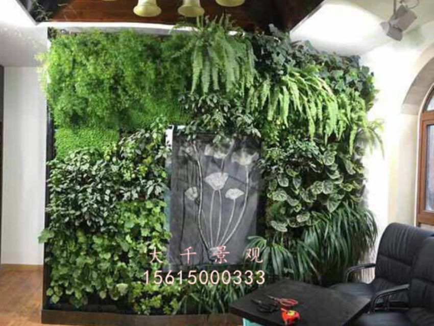 點擊查看詳細信息<br>標題：綠植墻 閱讀次數：1508