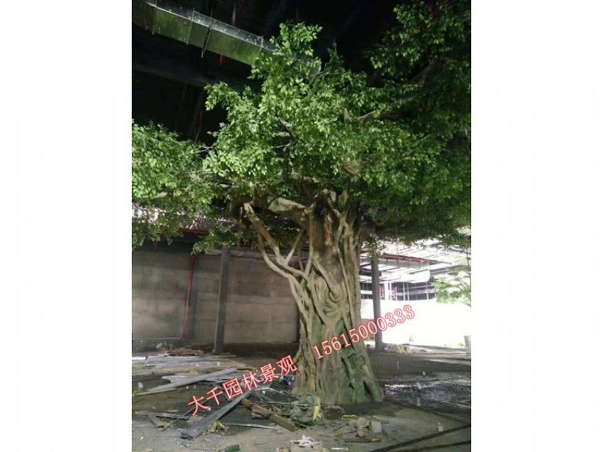 點(diǎn)擊查看詳細(xì)信息<br>標(biāo)題：假樹(shù) 閱讀次數(shù)：2082